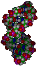 DNA