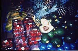 Tropical